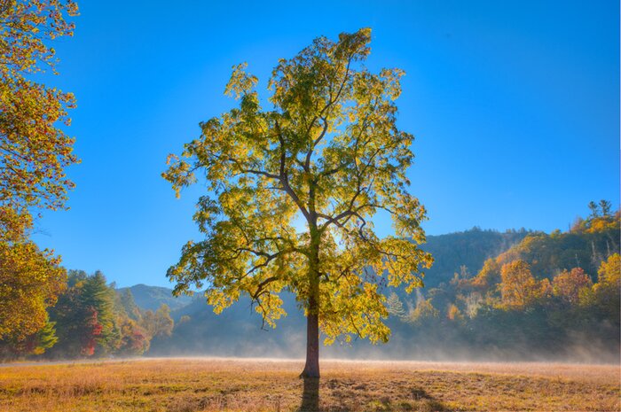 RJH_0686_tonemapped