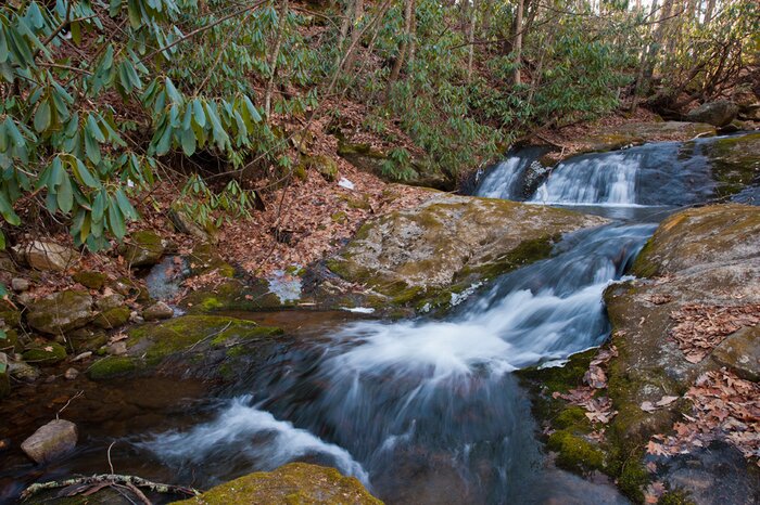 North-Harper-Creek-Falls_4387