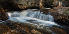 Dolly-Sods